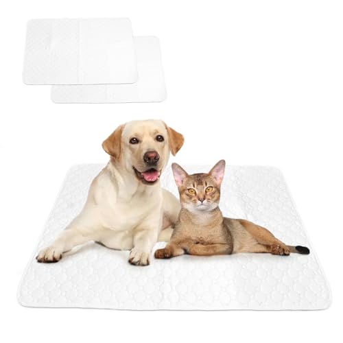 SHUVZARI 􂦂ybgpgC}bg ې  L pbh GRJԂg z Rh~  ~ Ђh~ V[c P[W̉~ qVp  ԃV[g H}bg JtF}bg gCg[jOV