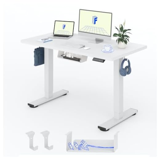 Flexispot EG1 Höhenverstellbarer Schreibtisch Elektrisch 2-Fach-Teleskop mit Tischplatte (Weiß, 100 x 60 cm)