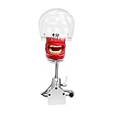 Dental Teaching Head Model Plastic Educational Dental Teeth Model Manikin Phantom Head Models Fix on...