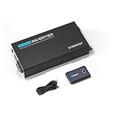 Renogy PUH 3000 Watt Inverter 12V to 110V Converter with Auto Transfer Switch, UPS Powering, Built-in Bluetooth and Wired Remote Controller, Pure Sine Wave Inverter for RV, Truck, Road Travel, Home