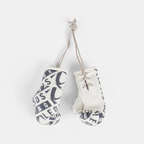 Legends Mini Boxing Gloves (White/Gray)