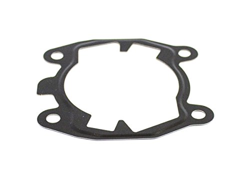 Everest Parts Supplies Cylinder Gasket Compatible with Stihl TS700 TS800 OEM 4224-029-2300