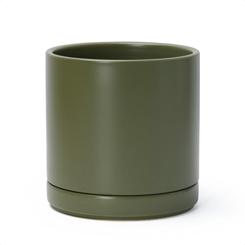 D'vine Dev 8.2 Inch Ceramic Planter Pot with Drainage Hole and Saucer, Indoor Cylinder Round Planter...