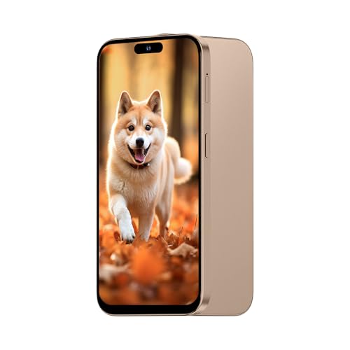 KostSell Unlocked 3G Mobile Phone, 6.6-inch Screen 16GB ROM (SD to 128GB), Dual SIM Dual Cameras, Android 10.0 OS, Face ID Cell Phones (Gold)