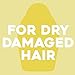 OGX Hydrate & Defrizz + Kukui Oil Anti-Frizz Hydrating Oil, 4 Ounce