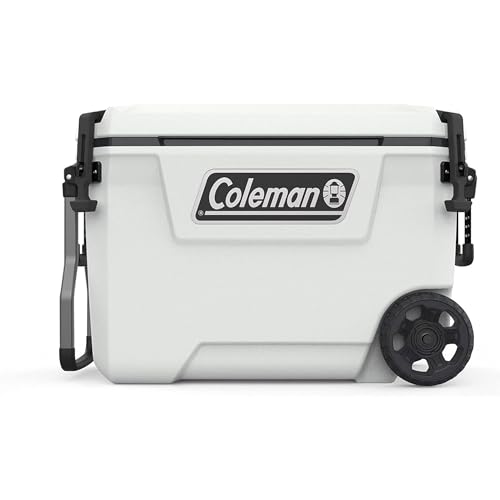 Coleman Ice Chest – The 16 best products compared - Wild Explained