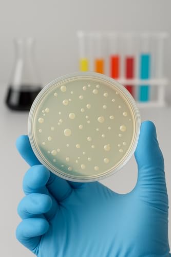 Image of Genxx Polypropylene Petri Dish 50MM (PACK OF 12) Clear and Unbreakable Lab Culture Dish, Autoclavable Plastic Petri Plate for Science Experiments and Laboratory Use