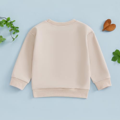 Chloefairy Big Middle Little Sibling Shirt Boy Girl Sweatshirt Romper Bodysuit 3rd Baby Announcement Matching Sibling Outfits3