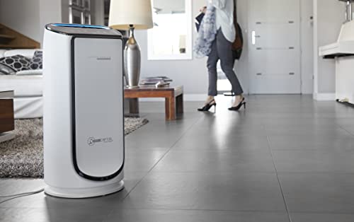 Rowenta Intense Pure Air Connect XL