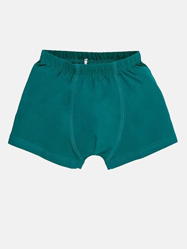 Image of KiddoPanti Boys Boxer Shorts Pack of 3 | Soft Cotton-Lycra Blend | Comfortable Fit with Bio Wash for All-Day Comfort | Kids Briefs