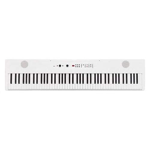 Amazon | KORG(コルグ) 電子ピアノ Liano LIVE! ライブ配信用全部入り