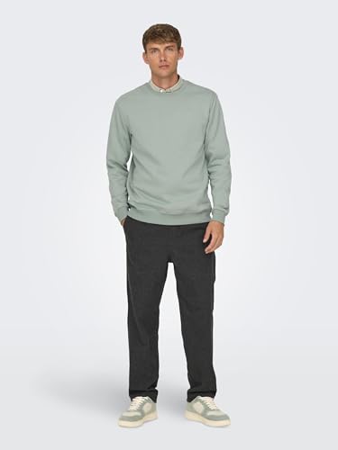 Only & Sons Onsconnor Reg Crew Neck Sweat Noos – Ansicht 3