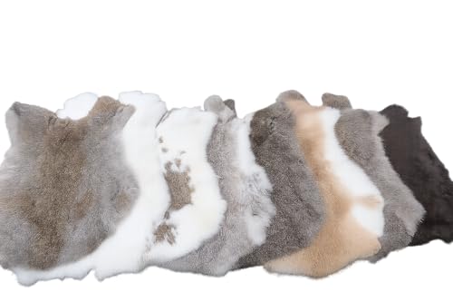 Grand Lapin fourrure de lièvre différents couleur