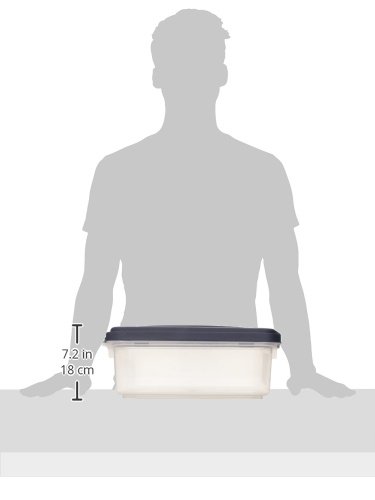 IRIS-USA-Airtight-Food-Storage-Container