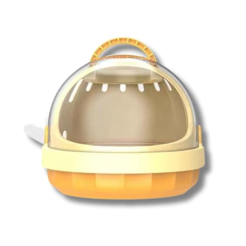 All Trust  nX^[ bg ł P[W bg  (CG[)