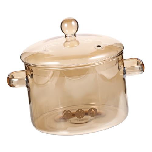 Gatuida Olla de Vidrio Borosilicato Alta Resistencia con Tapa y Doble Asa para Estofado Doméstico Cocina Gas Microondas Congelador