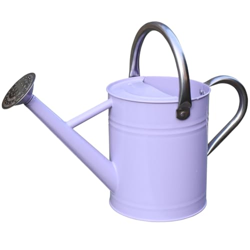 yourjoy Metal Watering Can, One Gallon Watering Cans Stainless Steel