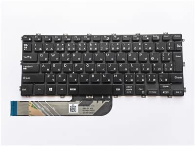 確認用 ④ なこ mita-offspring-adidas-zx-8000-