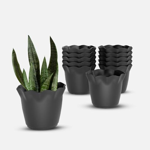 Image of YUCCABE ITALIA SHERA Flower Plastic Flower Pot Unbreakable Round Shape Planter with Drainage Holes Planter Suitable for Home Garden Seedling Indoor and Outdoor (Grey, 8 INCH - 12 Pcs)