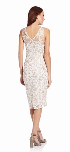 Adrianna Papell Women's Embroidery Sleeveless Dress2