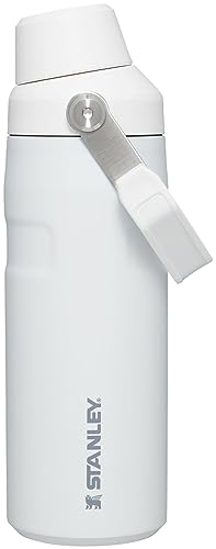 Image of Stanley IceFlow Fast Flow Water Bottle | Angled Spout Lid | Lightweight & Leakproof for Travel & Sports | Insulated Stainless Steel | BPA-Free