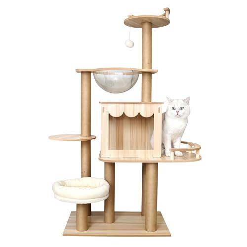 AndulaVf Lbg^[ ؐ ^L u X L^[ FD3 ^ L Lbgc[  FD{E B {bNX ܂Ƃ   ^s R LnEX XNb` RbgR TCU L