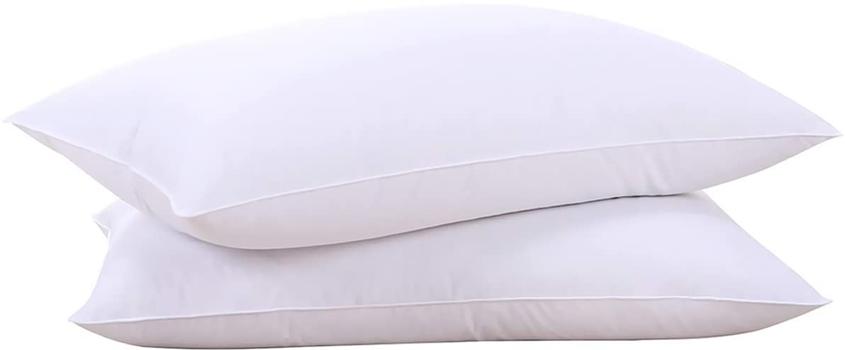 Lot De 2 Oreillers En Plumes Et Duvet De Canard 80 X 80 Cm Feldberg