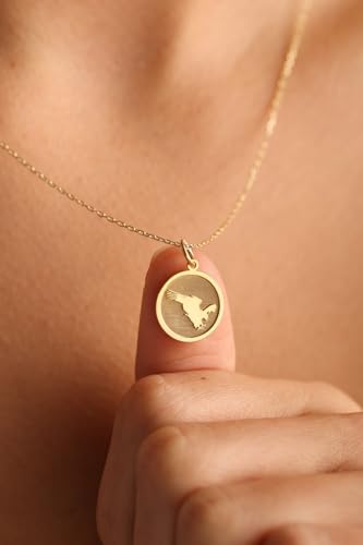 Colgante de halcón para cumpleaños un regalo de joyería de plata inolvidable 2