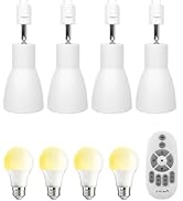 Amazon.co.jp: SenMeiGuang RGB 30W LED投光器 リモコン操作（メモリ