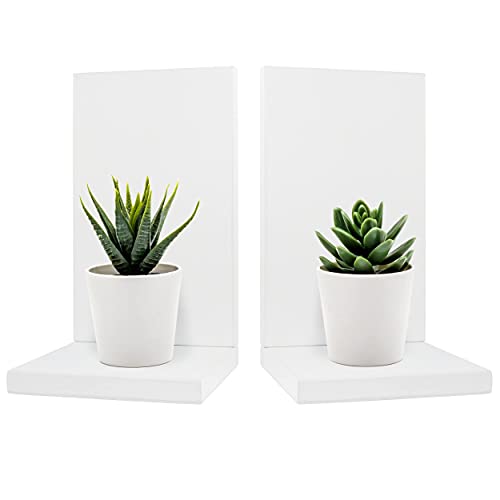 TERRA HOME Pflanzenregal Indoor 2er Set - Weiß Schweberegale für Wand - Handgemachtes kleines Wandregal Dekorative Wandregal Wandregal für Pflanzen, Sukkulenten, Kerze und alles (Weiß) Cover