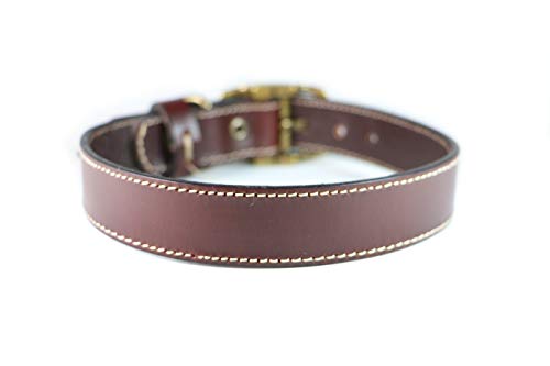 Collares Y Correas, Pet Products Imagen adicional