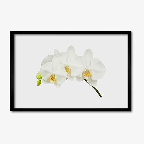 Affiche encadrée 60x40 cm cadre en MDF image murale salon chambre motif fleurs Tulup