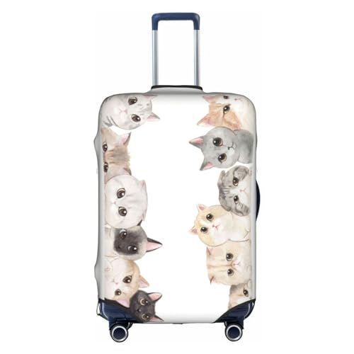 [Raysent] X[cP[XJo[ L L[obOJo[ Lkf ϋv h~ h~ tȒP \