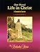 Our Moral Life in Christ Student Workbook (The Didache Series)
