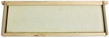 Harvest Lane Honey WWFFM-102 Medium Beehive Frame, Wood - Quantity 1010