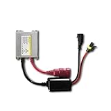 Questo alimentatore elettronico è compatibile con un'ampia gamma di tensioni e ha un avvio immediato. Ideale per l'illuminazione di negozi, magazzini o attività commerciali, è facile da installare.
