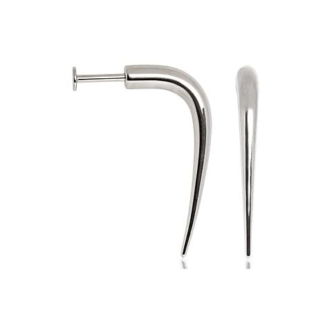 Covet Jewelry 316L Surgical Steel Labret with Claw Cover
