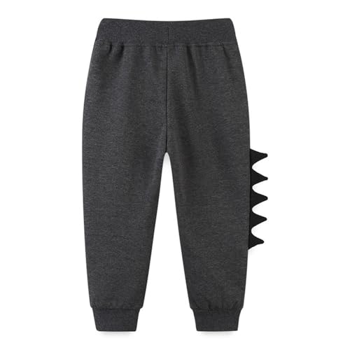Toddler Boys Sweatpants Drawstring Elastic Trousers Kids Dinosaur Sport Jogger Pants Cotton Athletic Fall Toddler Outfit3