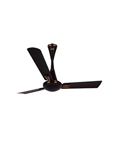 Audie 1200mm 3 blade Ceiling fan (Charcoal Black)