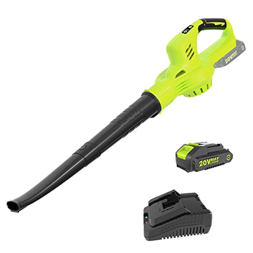 Best Leaf Blowers Canada Best Cost