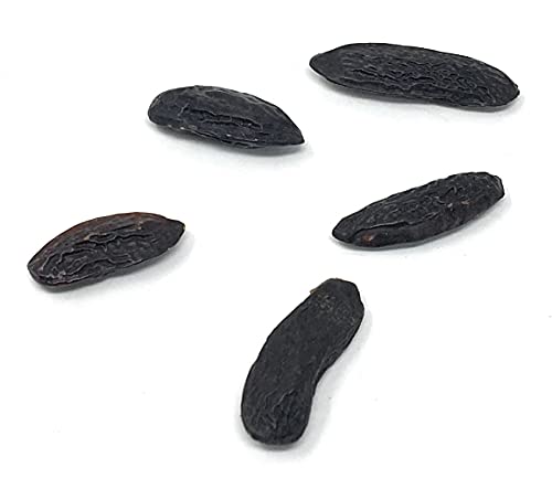 5 Premium Tonka Beans - Whole Natural Tonka Beans - 100% Raw & Pure Tonquin, Strong Fragrance (Dipteryx Odorata Tonkin Pods). Edible Premium Food-grade Cumaru Kumaru Tonka Beans For Cuisine