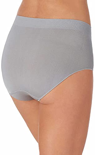 Image of Carole Hochman Women's Underwear Silky Soft Seamless Full Coverage Modern Brief Panties 5 Pack Multipack Regular & Plus Sizes