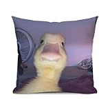HAPPBIRTH Duck Meme Funny Throw Pillow Case,for Daughter, Son Gifts, Dorm Room Accessories Graduation Party, Decorative Cushion Cover for Sofa Couch Bed 18x18inches