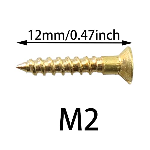 Tornillos autorroscantes de latón M2 x 12mm, 25 unidades miniatura 2