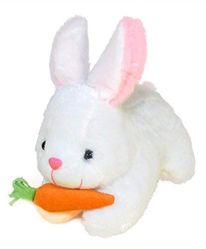 PLATONIC HUB Rabbit with Carrot Stuffed Soft Plush Toy, White 30 cm Pack of 1