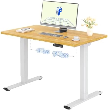 FLEXISPOT Electric Lift Desk 120 x 60 cm with Whole Board with 2 Motor, Standing Desk, Elevated Table with 4 Intelligent Memory Options for Office and Home (Maple))