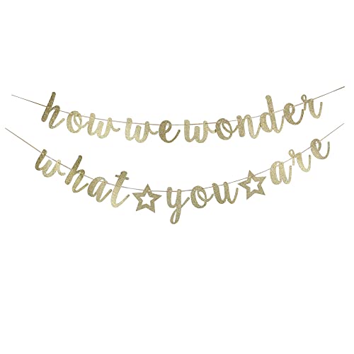 WESTLILI How We Wonder What You Are Banner, Baby Shower...