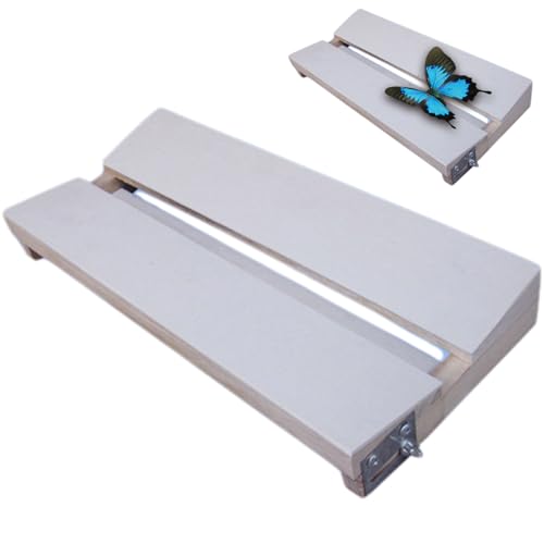 Tablero de fijación de insectos con canal ajustable en V para extender alas de madera