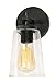 Joanna 1 Light Sconce - Black