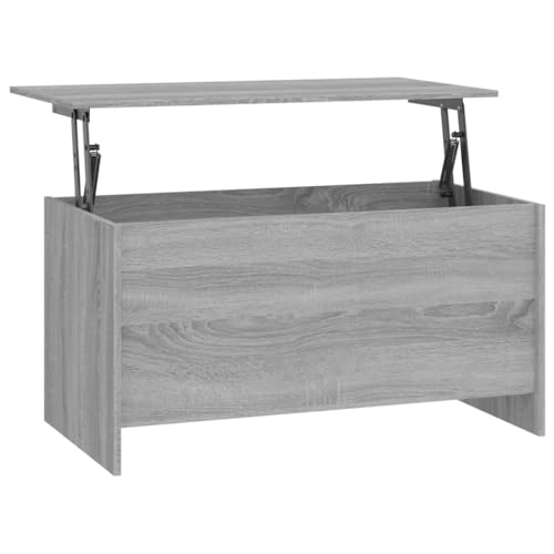 Modern Lift-Top Coffee Table with Hidden Storage Grey Sonoma Engineered